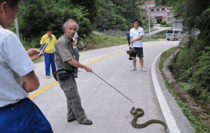 开县陈远辉图片