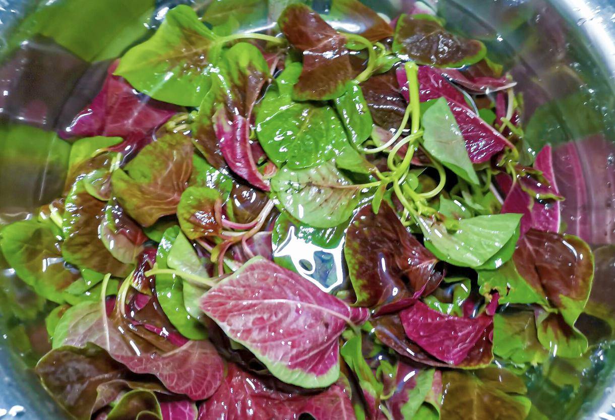 凉拌红苋菜,不用炒,做法简单又好吃,天天吃不腻,比肉都香