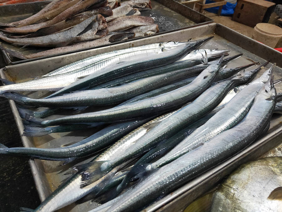 原创鲤鱼鲅鱼靠边站夏天就该吃这鱼营养极高随手一炖特鲜美好吃不上火