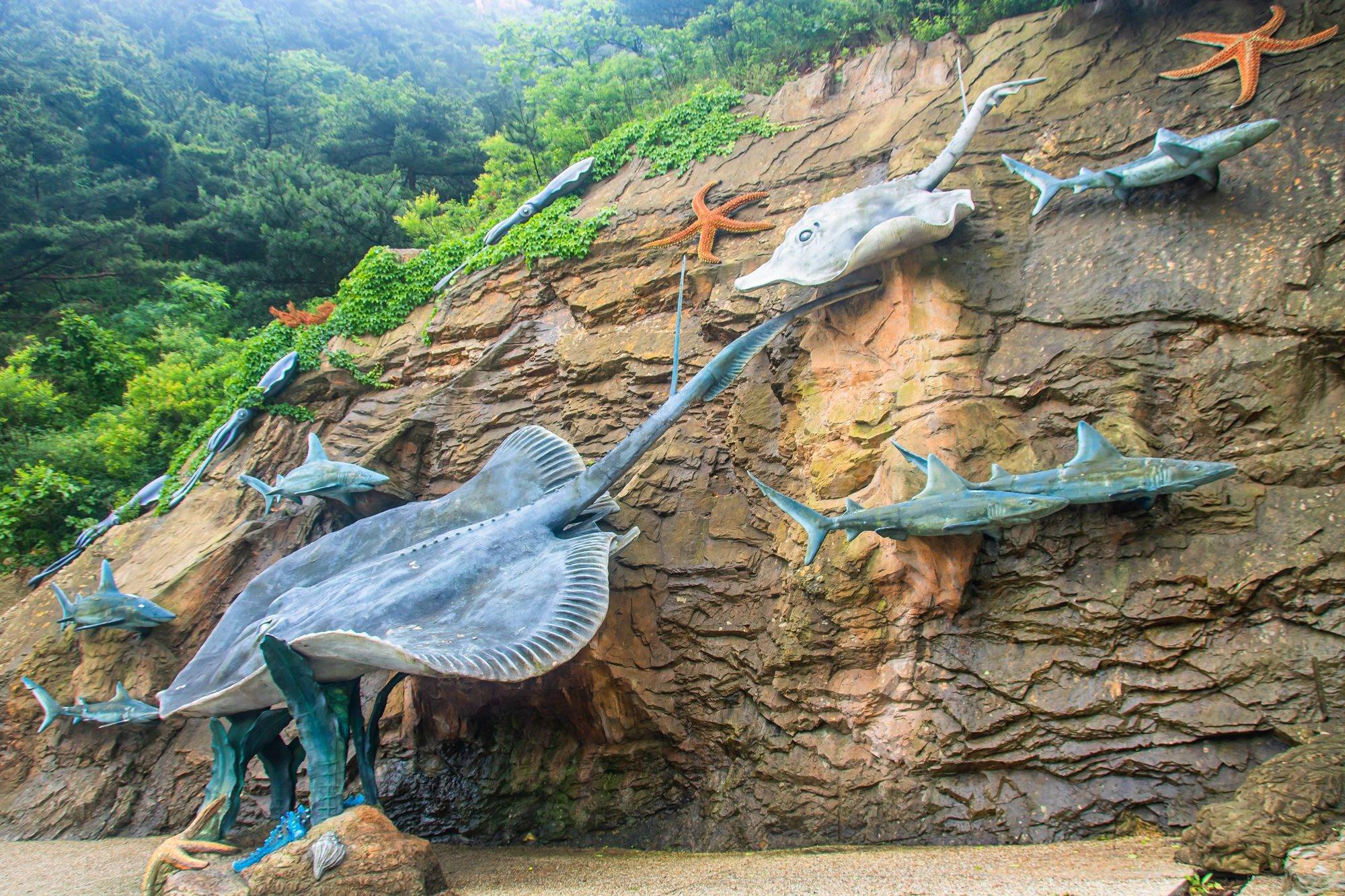 大連海之韻公園這裡依山傍海環境秀美還有世界最長的木棧道