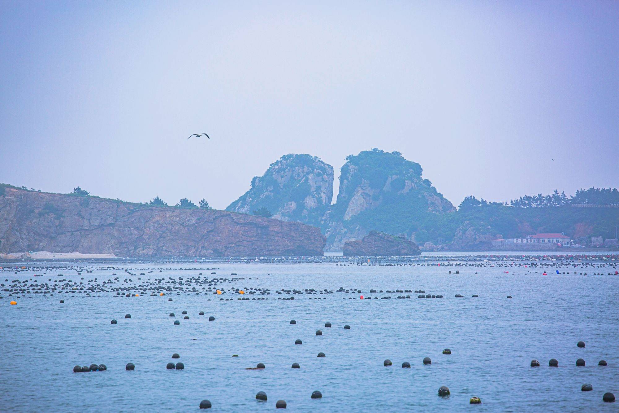 大连庄河海王九岛，环境秀美，造型奇特，被誉为海上“小桂林”