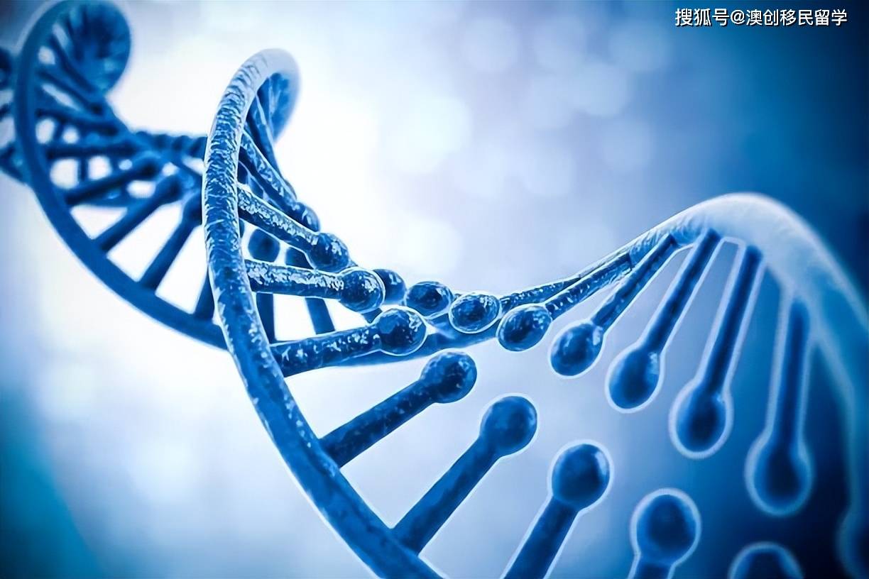 澳洲gti移民,青睐哪些健康和生命科学领域人才_基因组_申请人_研究