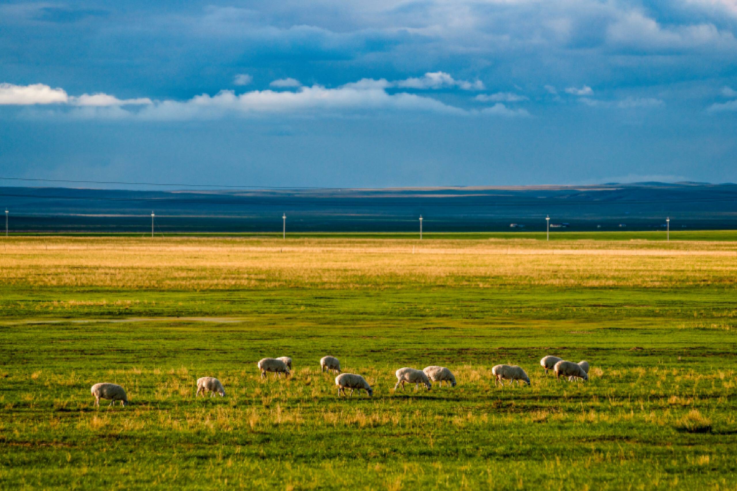 旷野天低水清云近微风吹过走在草地上幽幽的草香扑面而来
