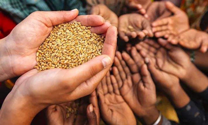 当今全球仍有很多地区,人们因缺乏食水和粮食因饥饿而死亡?