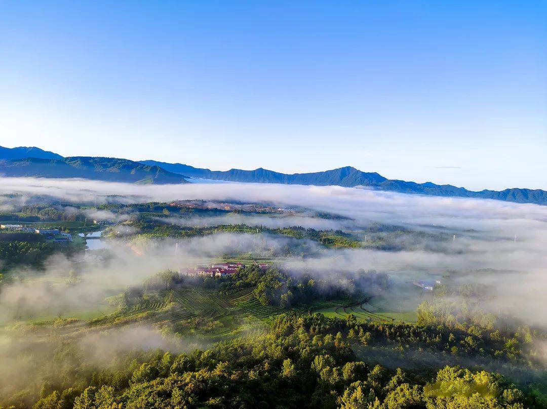 小暑来高岭中国村寻一处清凉度一场清欢