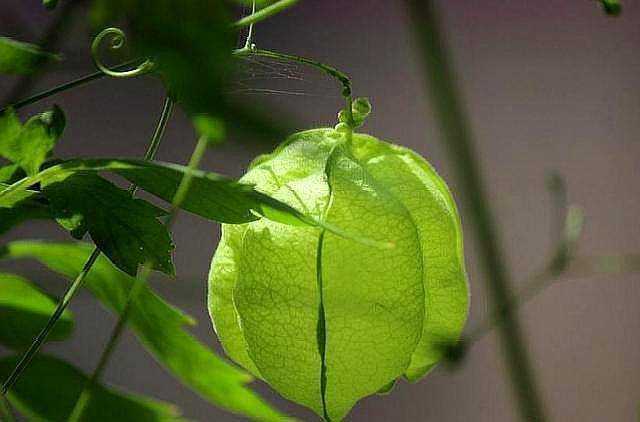 人微言轻之时,别向这几个人借这一样东西,借了,容易被人看不起_时候