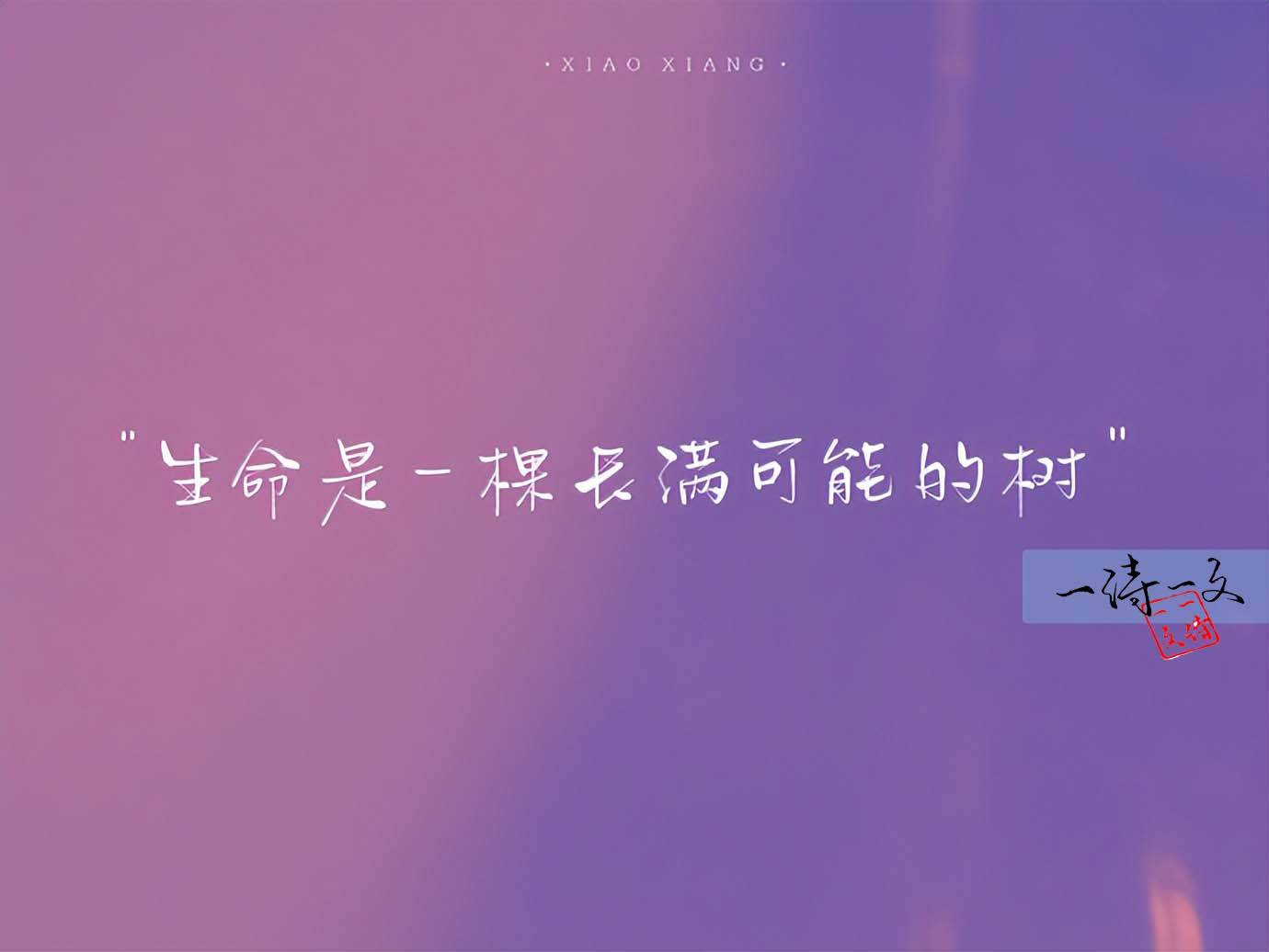 有哪些句子和诗能治愈：难过、悲伤、忧虑、迷茫？_搜狐网