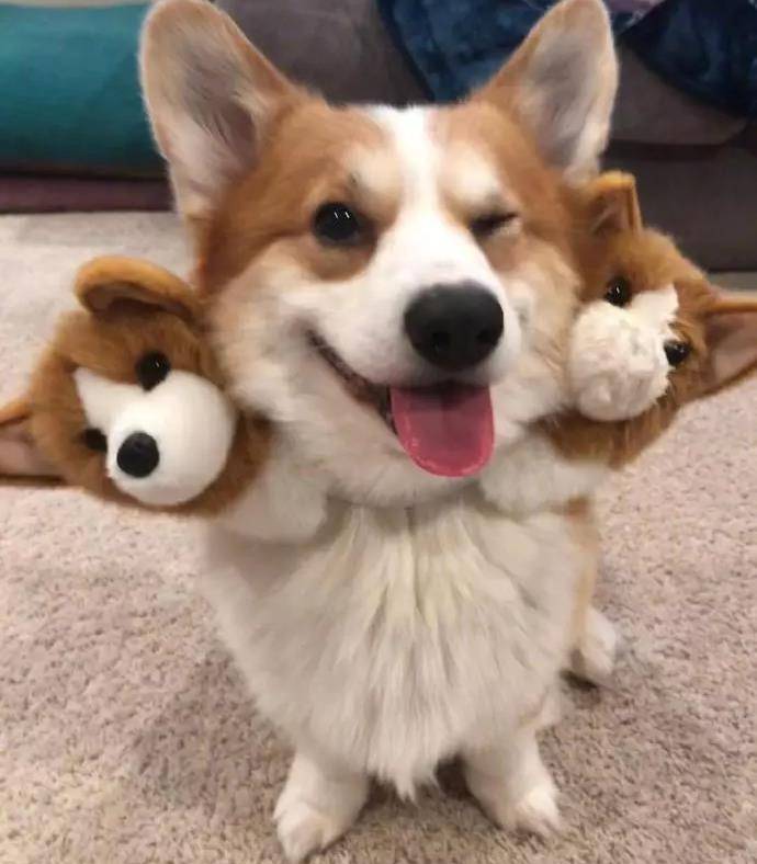 原创地狱三头犬来啦大家快跑啊