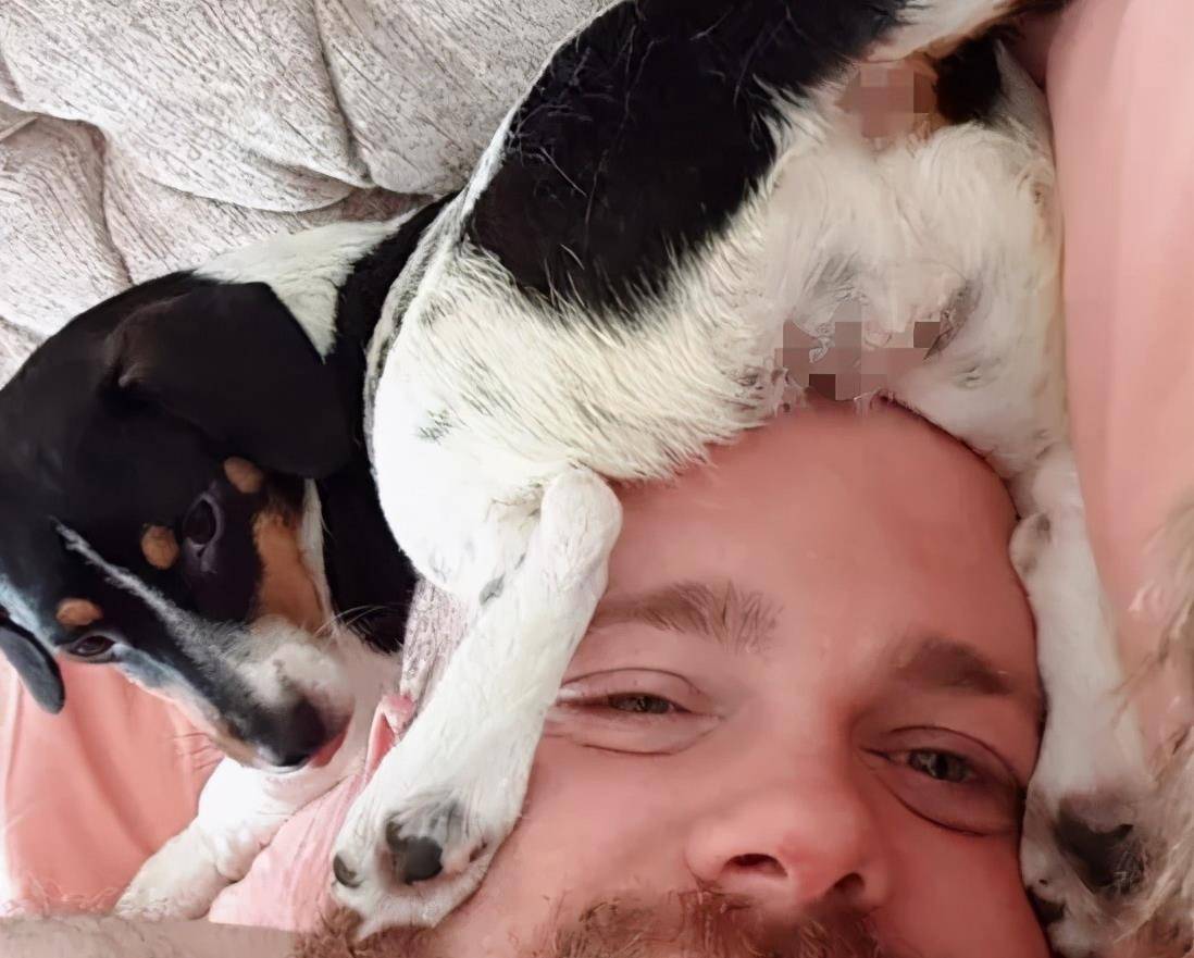 原创狗狗竟直接骑到主人头上网友却感叹好幸福原来是个光头