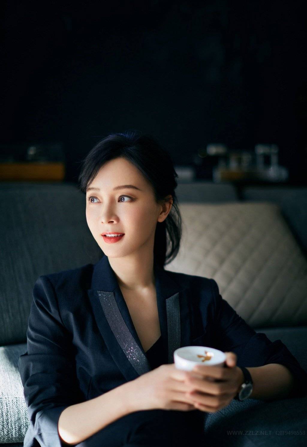 事业有成—陈数_女强人_身材修长_中国