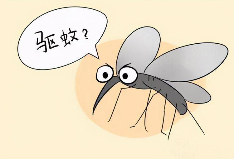 【驱蚊】常见的驱蚊方法有哪些_驱蚊产品有哪些