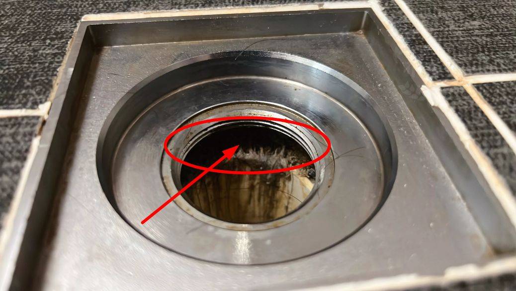 自查下这里,我10块钱就搞定了_地漏_水管_问题