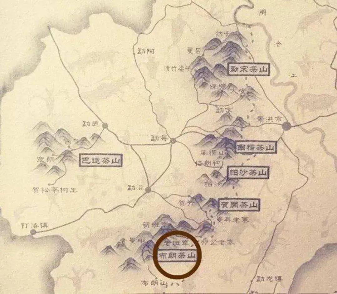 老徐谈茶第286期老徐带你了解名山名寨茶系列之老班章古树茶