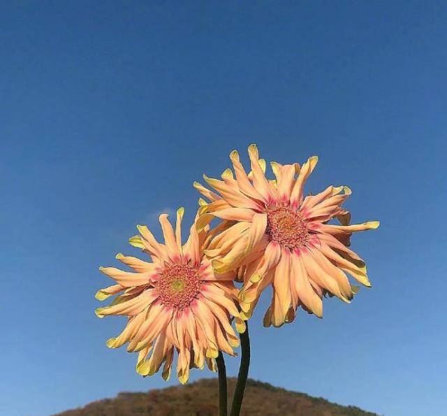 最近超火的青春励志语录,致为梦想奔跑的年轻人!_生活_未来_才会