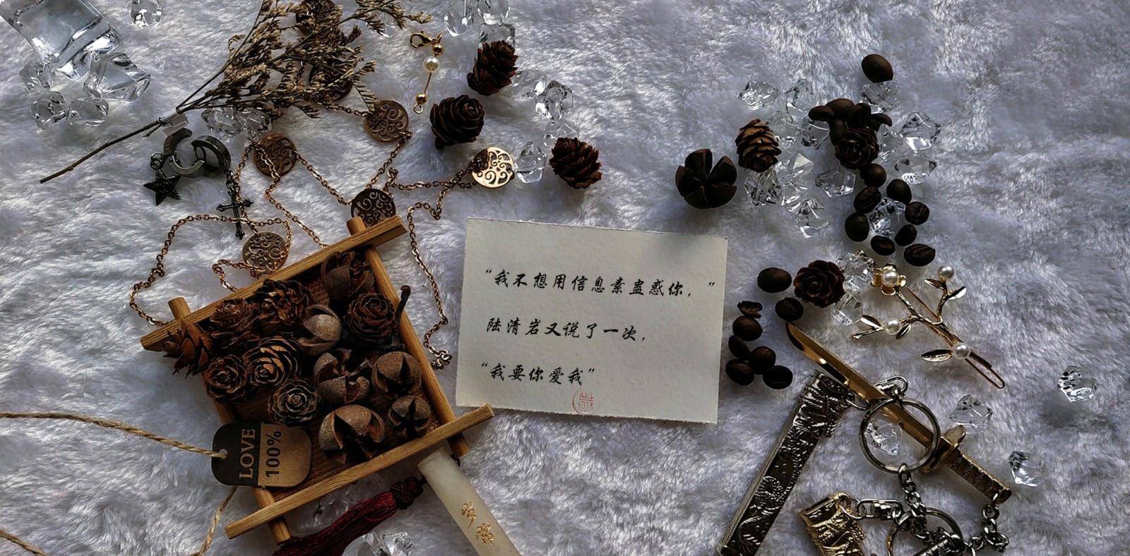 《顶级诱捕公式:你身边就是我最想停留的地方_林佑_陆清岩_薛宜炘