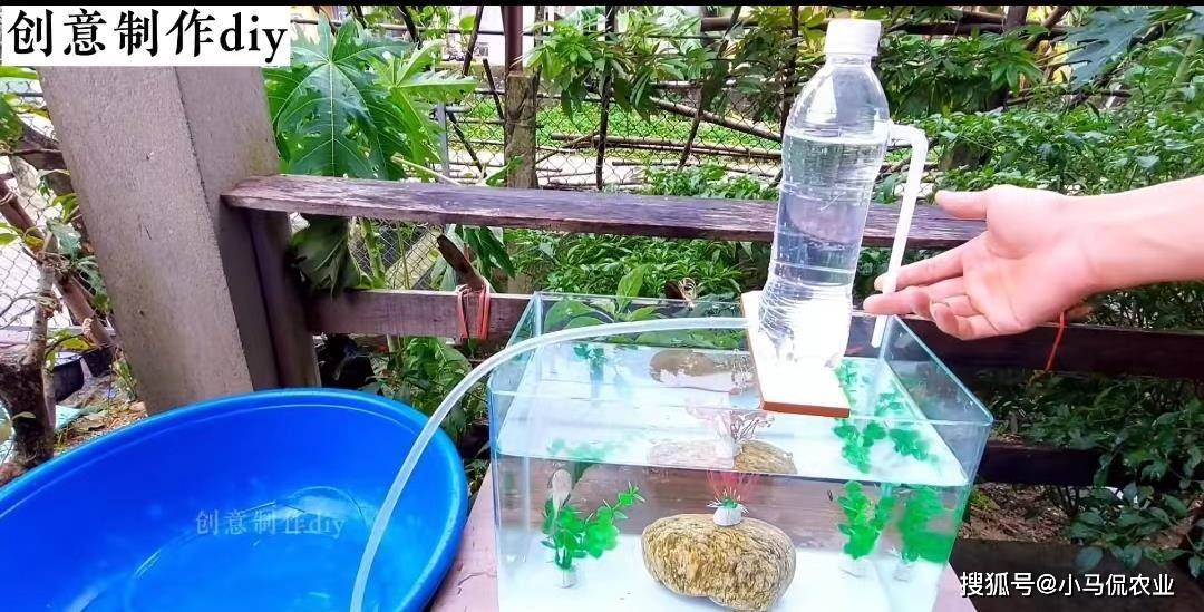 创意diy小哥养鱼供水氧不用电,1招鱼儿飞上天,空中鱼缸奇思妙想