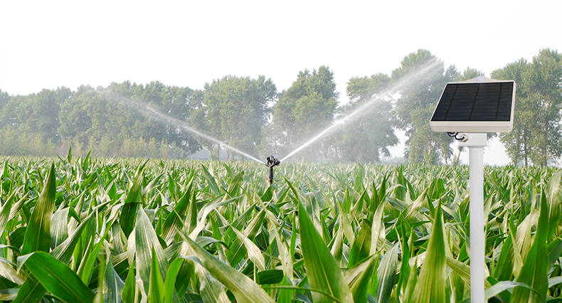 玉米喷灌阀控控制▲火龙果滴灌阀控控制▲玫瑰花喷灌阀控控制▲讥庭