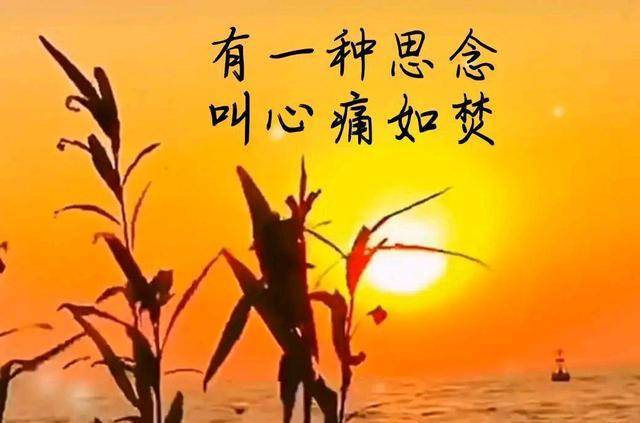 朝三暮四,一个人心中有爱,灵魂有了家一样的安然,想你,牵着思念的衣襟