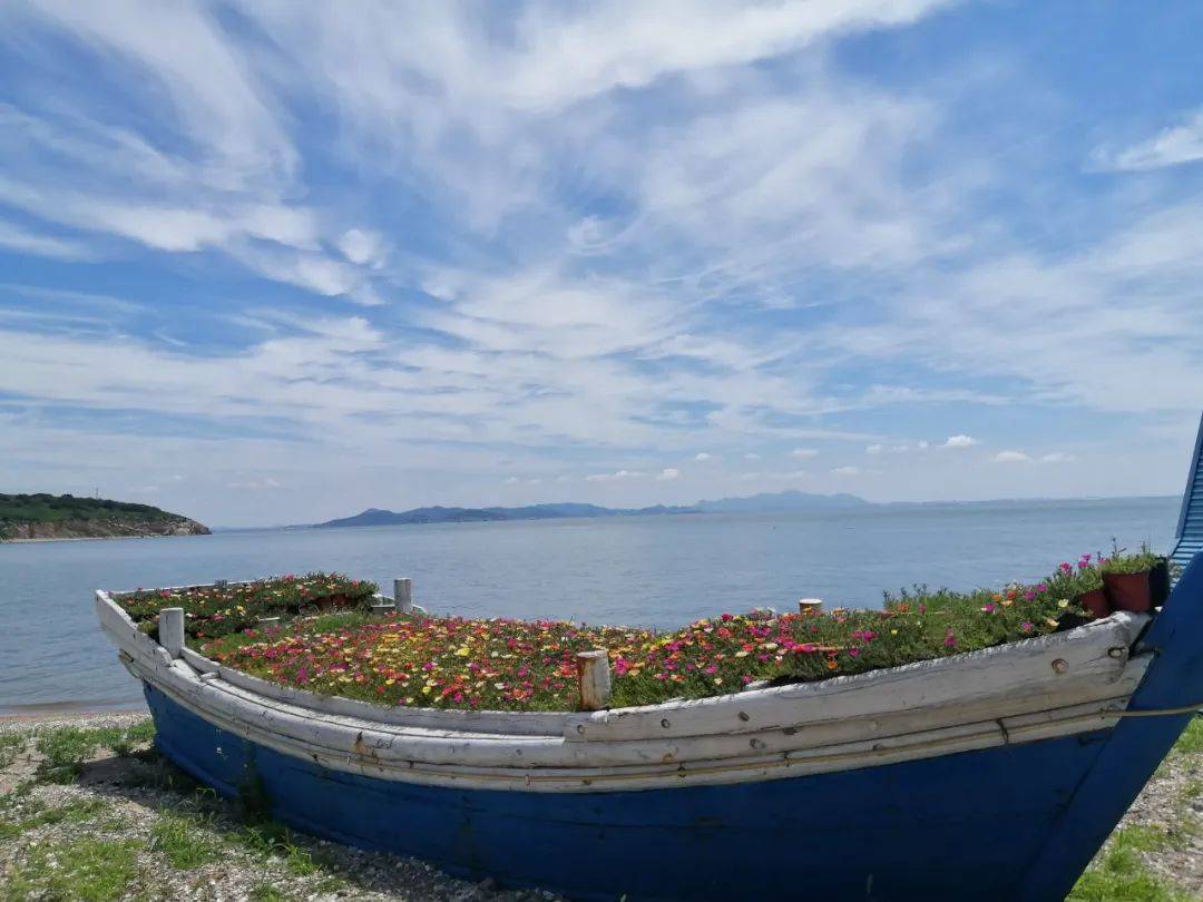 蚂蚁岛大连距离城区最近的小岛坐拥一座岛浪漫过夏天