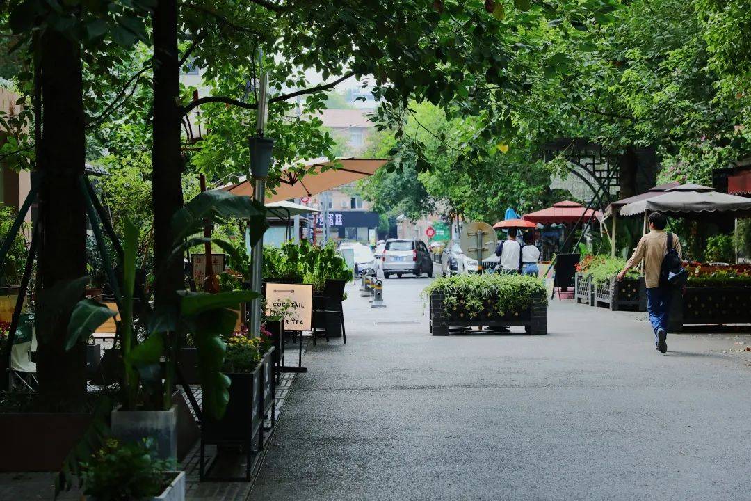 泡桐树街一条自然生长的儿童友好街道