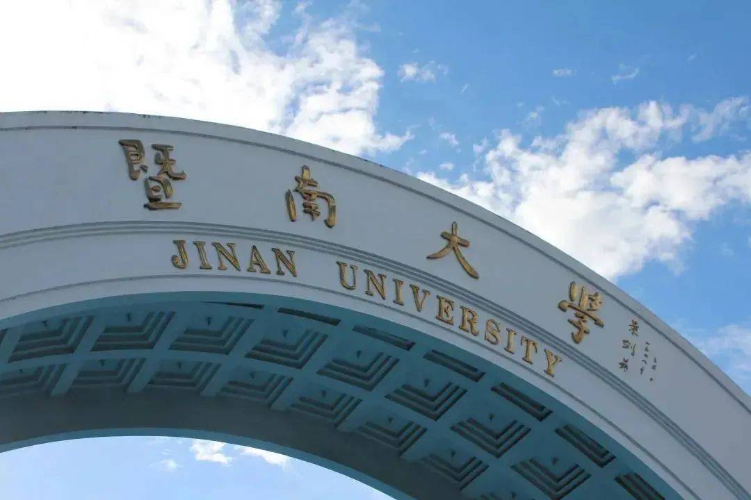 林晨陪你考研_项目_管理_国际视野