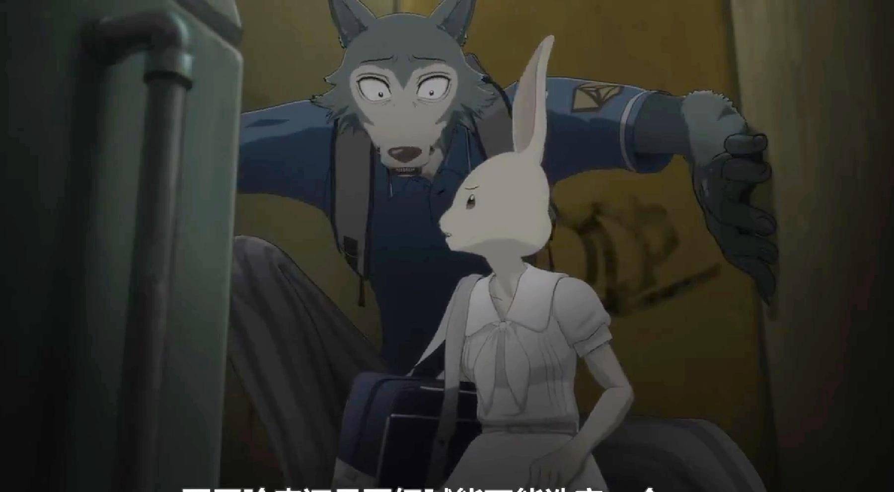 春和朱诺,《beastars》中的一对"情敌"拥有着完全对立的特点_格西