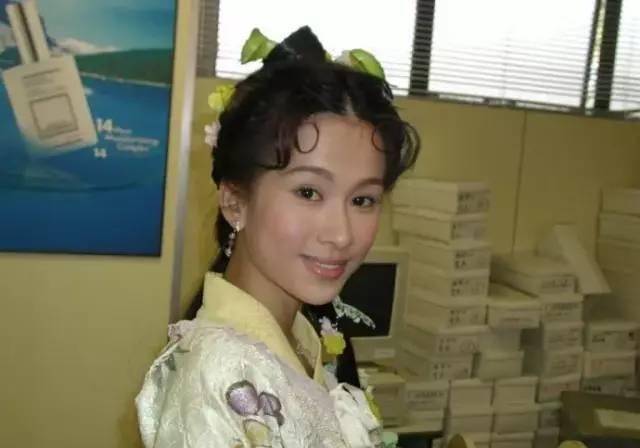 专家》中与欧阳震华,郭可盈,张智霖一同合作,饰演谈判专家叶可人一角