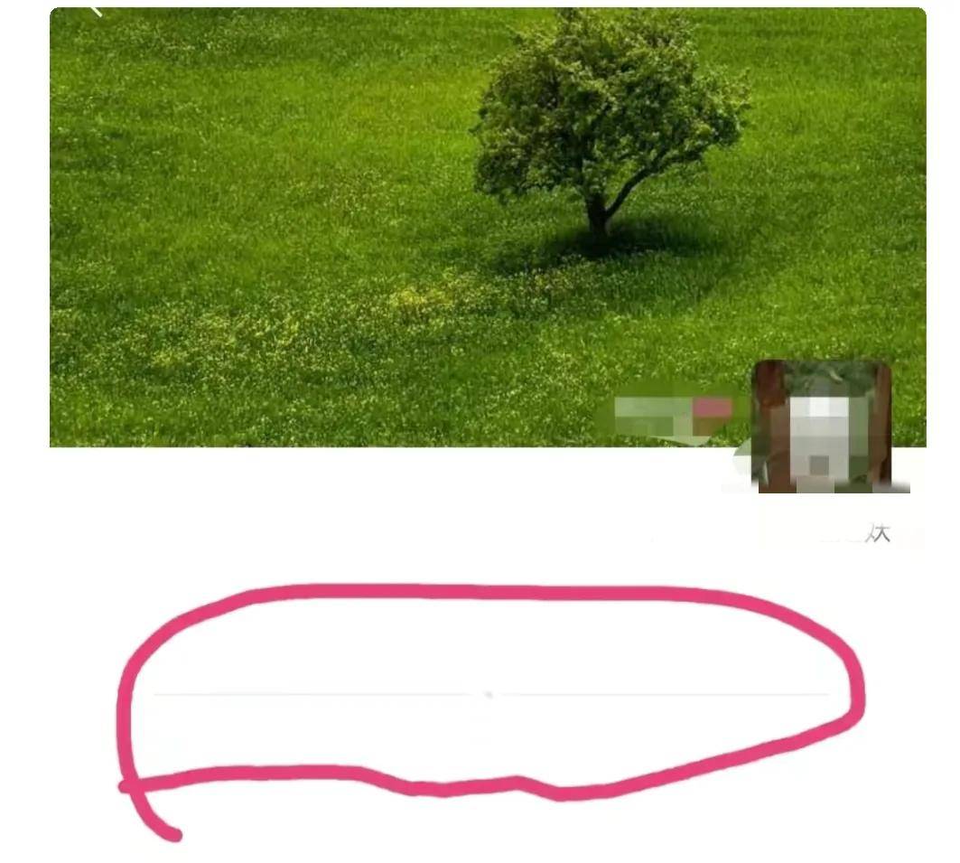 能不能用收款码加好友_微信收款码能加好友吗_微信收款码可以加好友