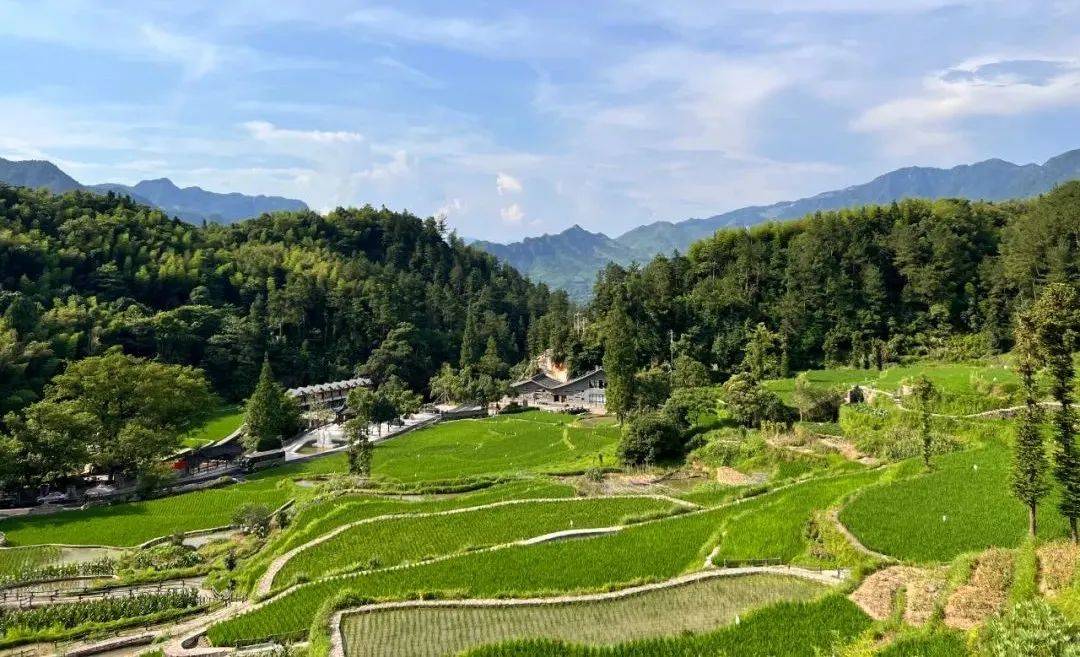 青田方山谷图片