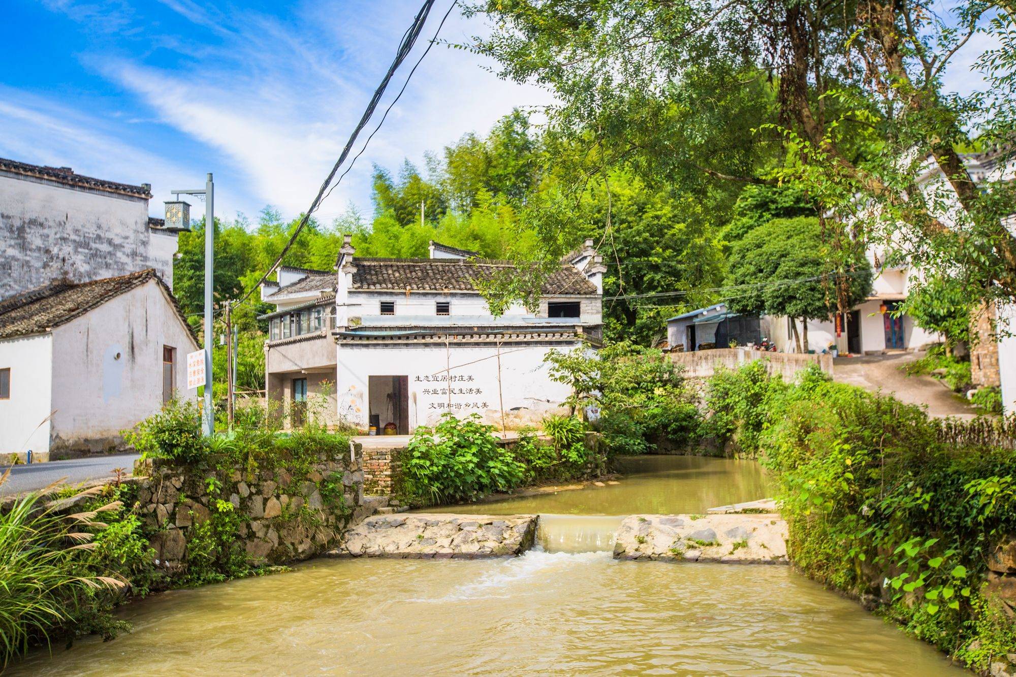 黄山脚下千年古村蜀源,一处旅游休闲养生地,百亩向日葵竞相开放_源村_