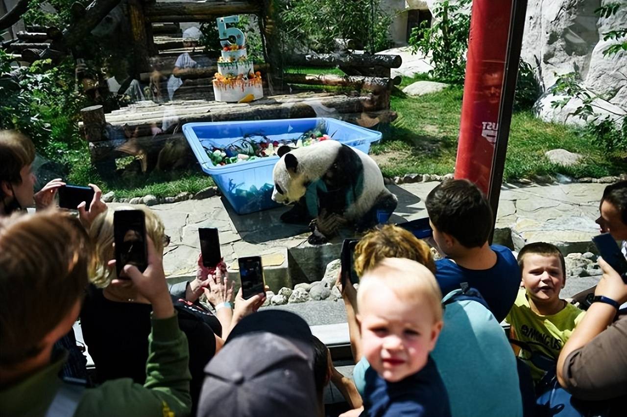 中国驻美国大使秦刚出席美国国家动物园举行大熊猫抵美50周年庆祝活动_中国历史_亚洲历史_欧洲历史_非洲历史_美洲历史_世界历史_世界历史网