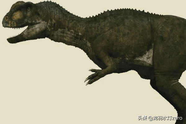肉食恐龙大盘点：角鼻龙下目