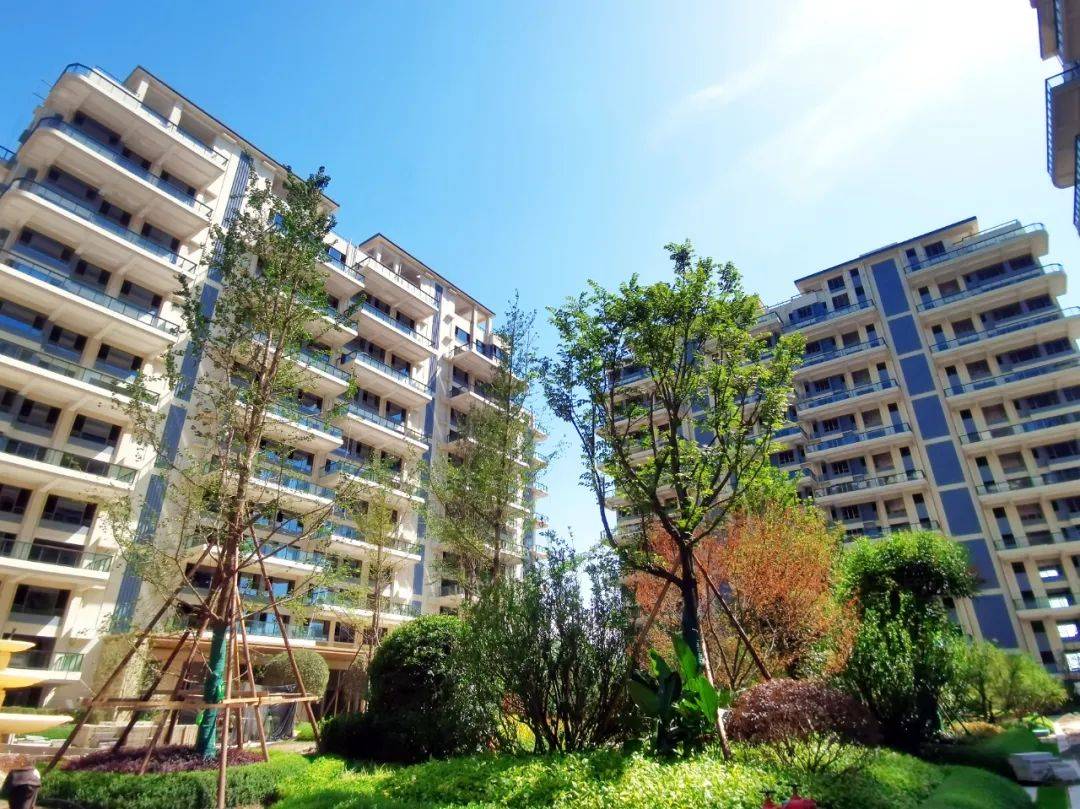 实景呈现共鉴佳期遂宁佳乐世纪城莲韵二区工地开放活动圆满完成