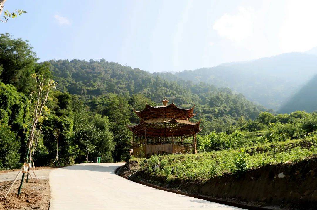 在同德镇马拉所村有你向往的归园田居