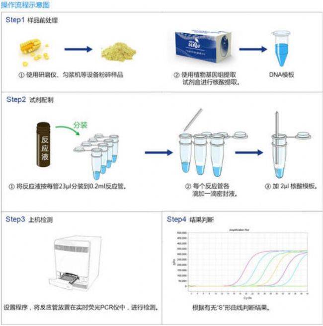 pcr扩增的原理和具体实验步骤_循环_温度_模板