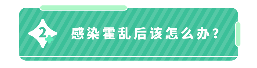 印度181人感染霍乱5人死亡！6-9月霍乱大流行,我们如何防？