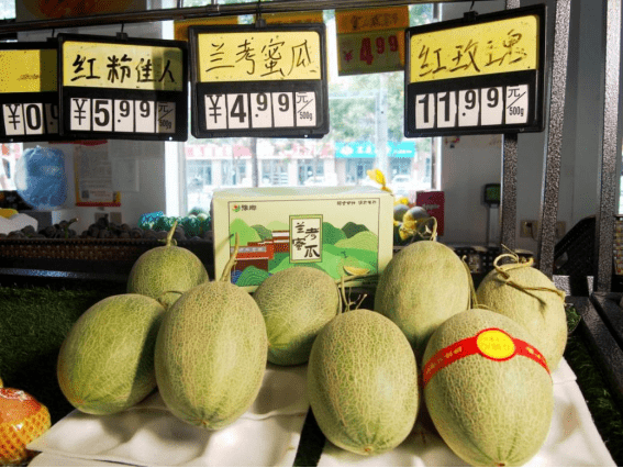 兰考大地出三宝乡村振兴谱新篇