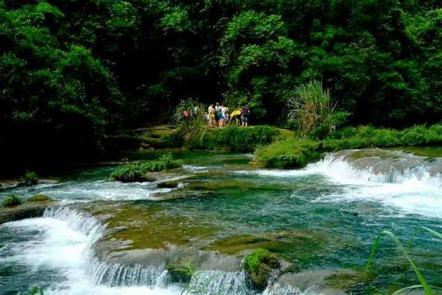 水上森林，拉雅瀑布！贵州这一景区，拥有八大景区，景色超美！