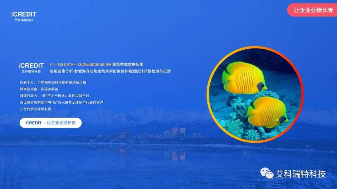 智能图像分析-智能头盔安全帽图像目标检测统计计数检测与识别-艾科瑞特科技