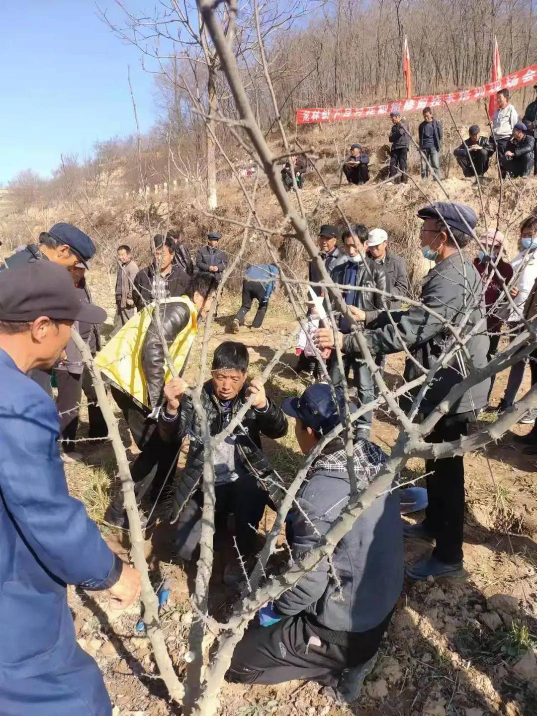 礼县龙林乡潘东海图片