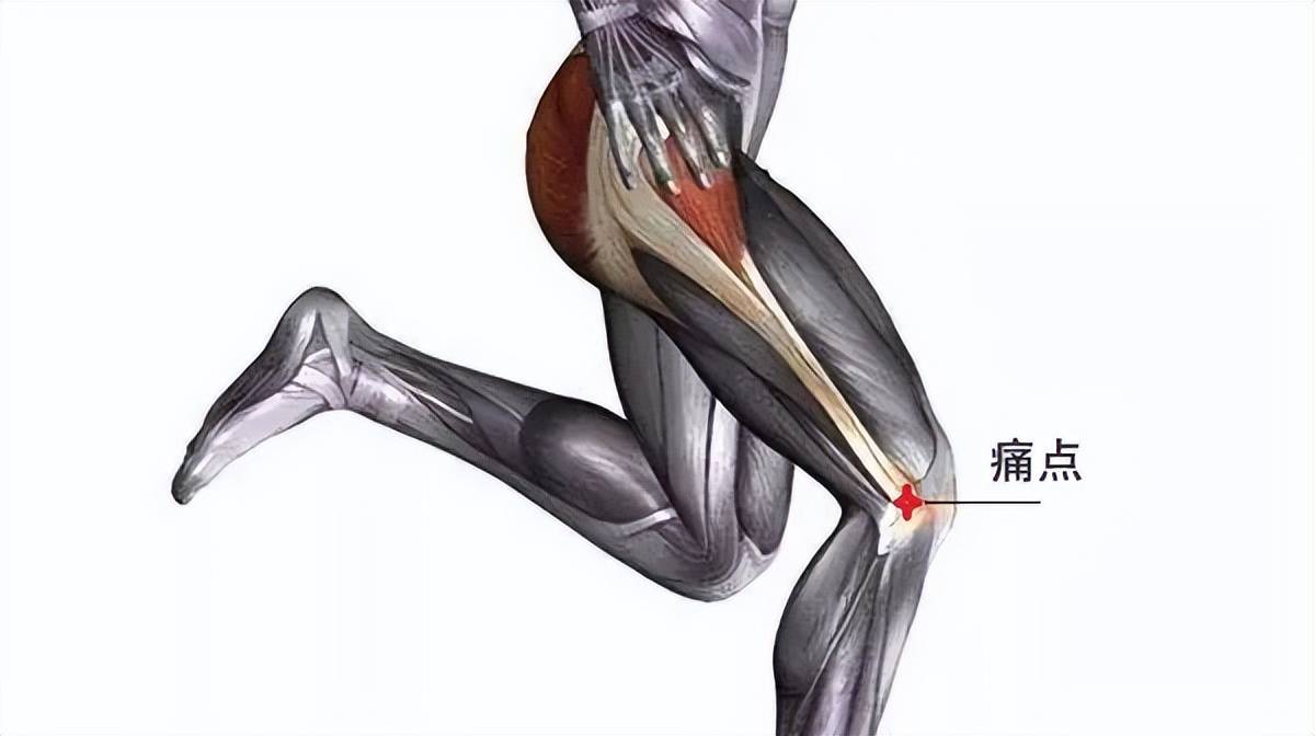 蹲下时膝盖疼痛 | 6 个常见原因和简单的解决方案格健昂聊健康·今天