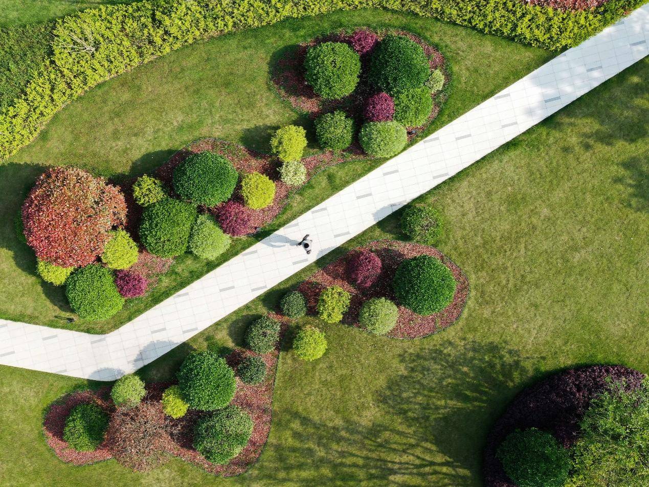 单元大堂(六进),空间层层递进,景观开合有序,错动的景墙,探枝的植物