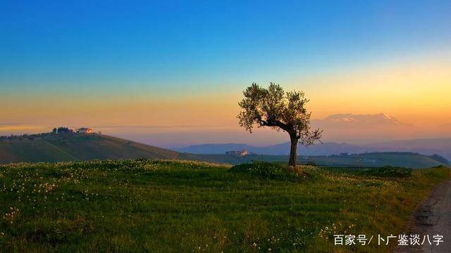 八字详细分析 出生在戊子日 也有发不了财的 财运不好的 工作 年时支 变动