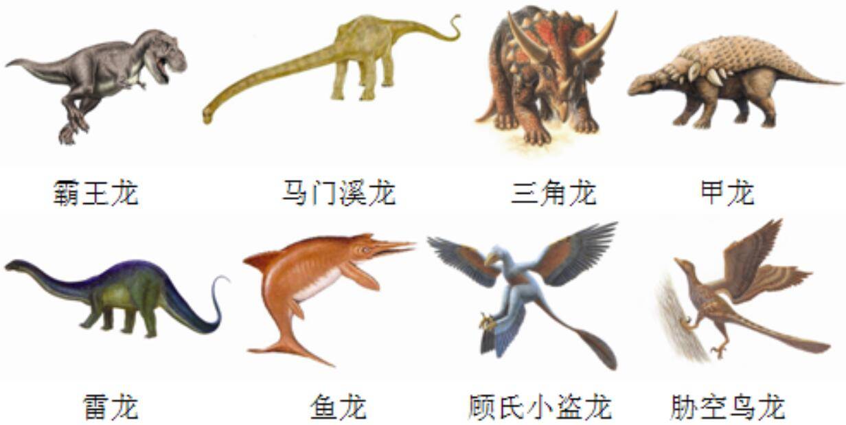 科学研究给出了答案_水龙_家伙_爬行动物