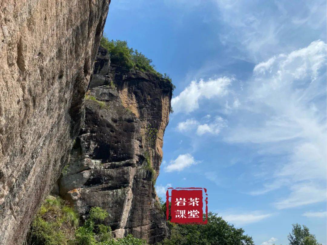 文章配图-4