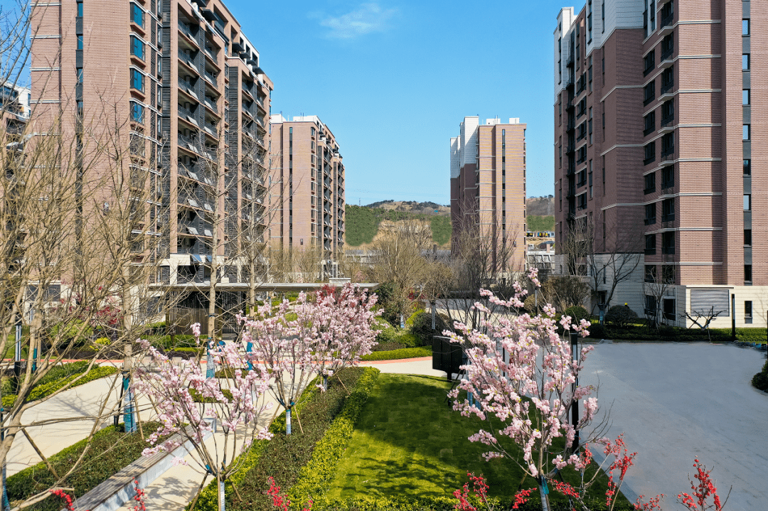 绿地国科润园大城终显现城阳史诗大盘实景呈现美好启航