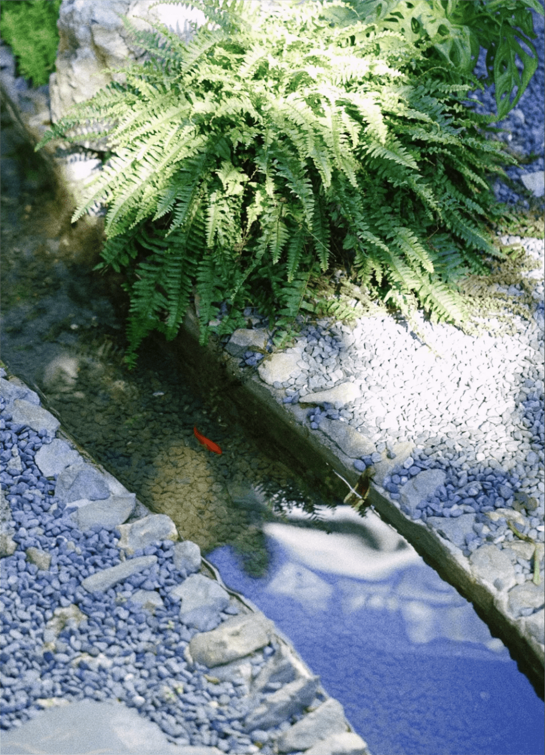 一间藏在老社区里的日式庭院小茶馆.