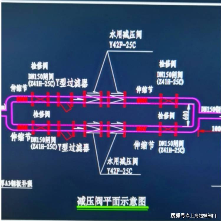 2205双相特种钢耐海水腐蚀法兰式减压阀
