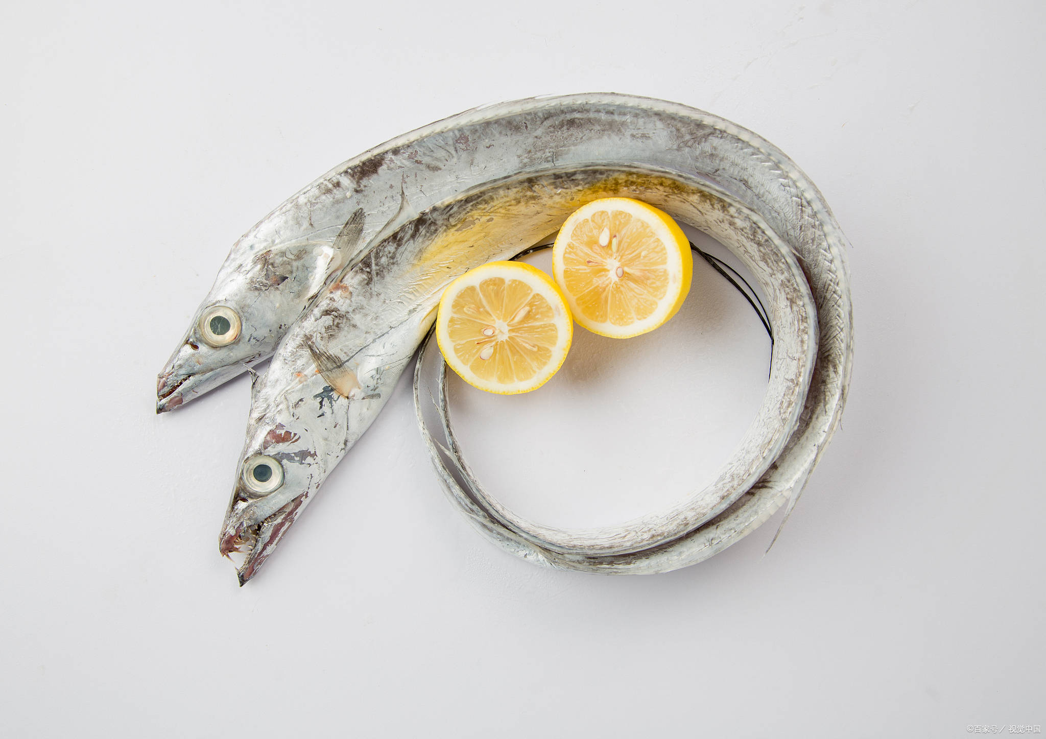 万人跺脚台湾省白带鱼停止输入