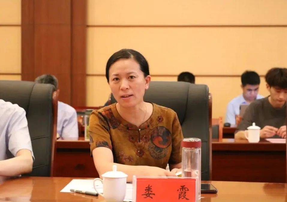 娄霞发言座谈交流中,娄霞向杨运民一行介绍了新泰市新材料产业链